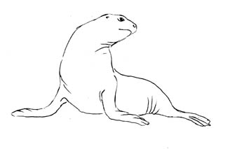 325x213 Rubber Stamps Line Drawings - Seal Line Drawing