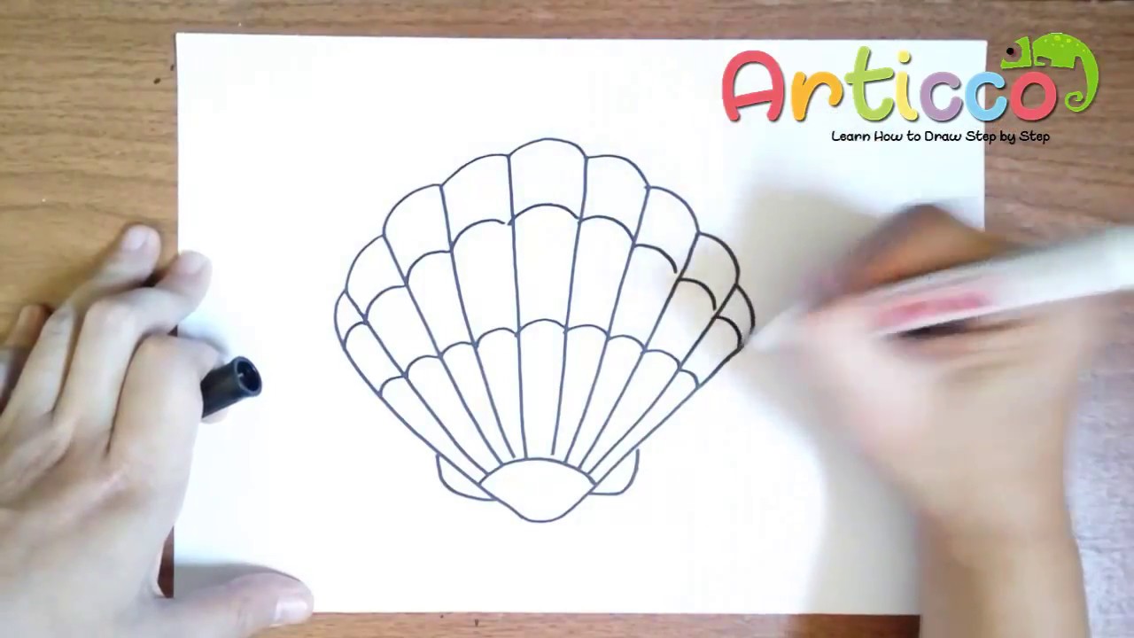 1280x720 How To Draw A Seashell Step - Seashell Drawing