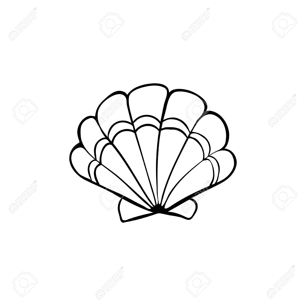 1300x1300 Seashell Drawing For Free Download - Seashell Drawing
