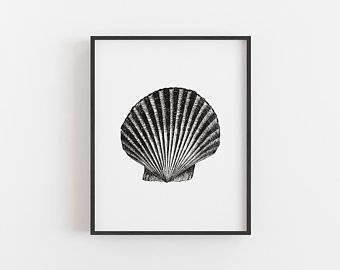 340x270 Seashell Drawing Etsy - Seashell Drawing