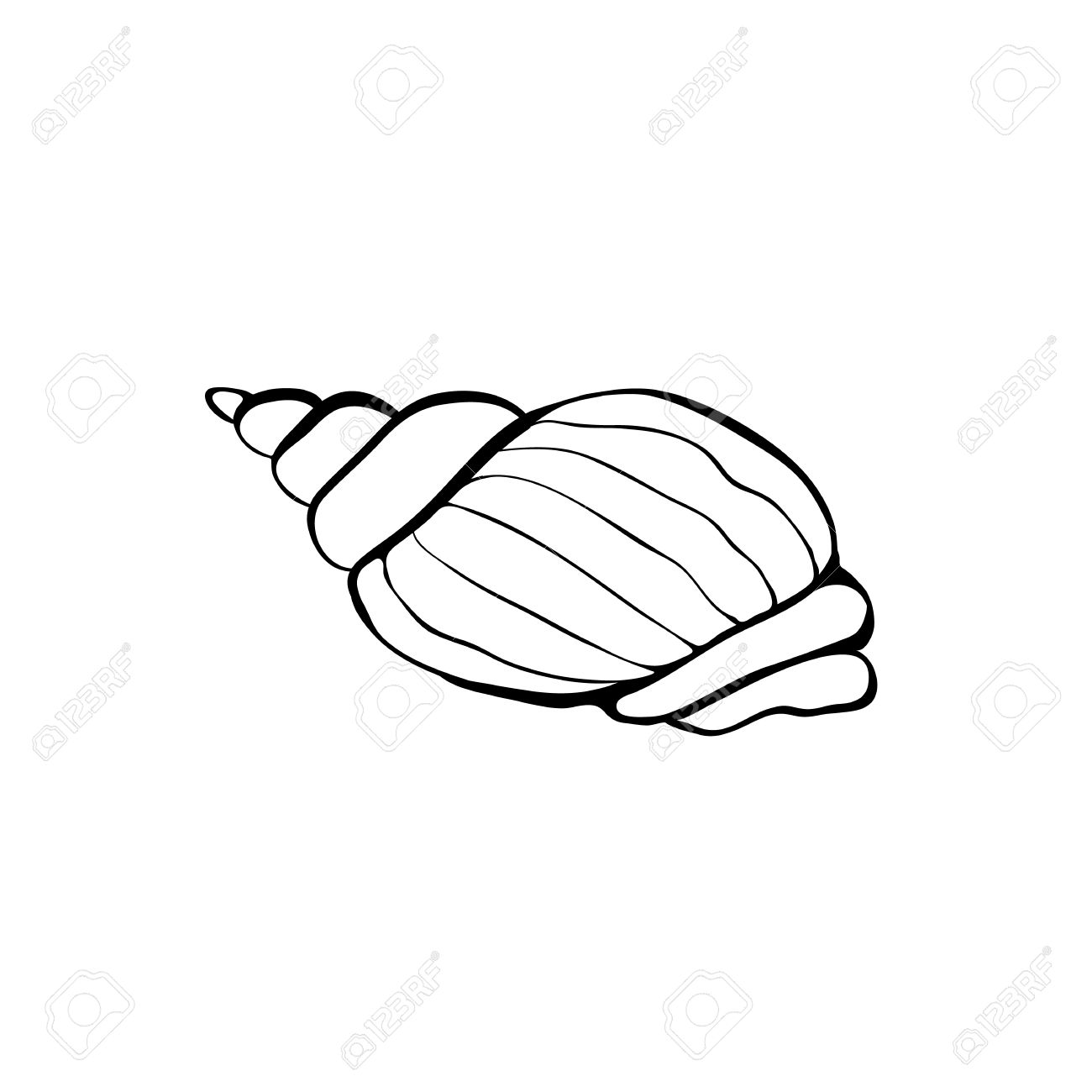 1300x1300 Drawn Sea Line Drawing - Seashell Line Drawing