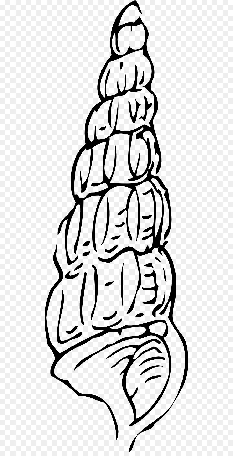 900x1760  - Seashell Line Drawing