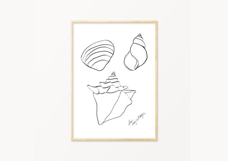 794x561 les coquillages printable seashell minimalist line drawing etsy - Seashell Line Drawing
