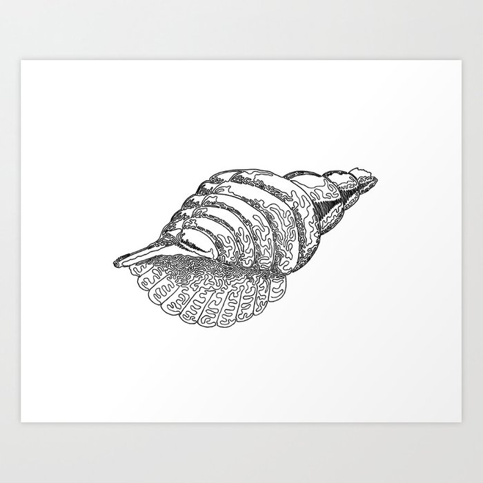 700x700 seashell, one line drawing art print - Seashell Line Drawing