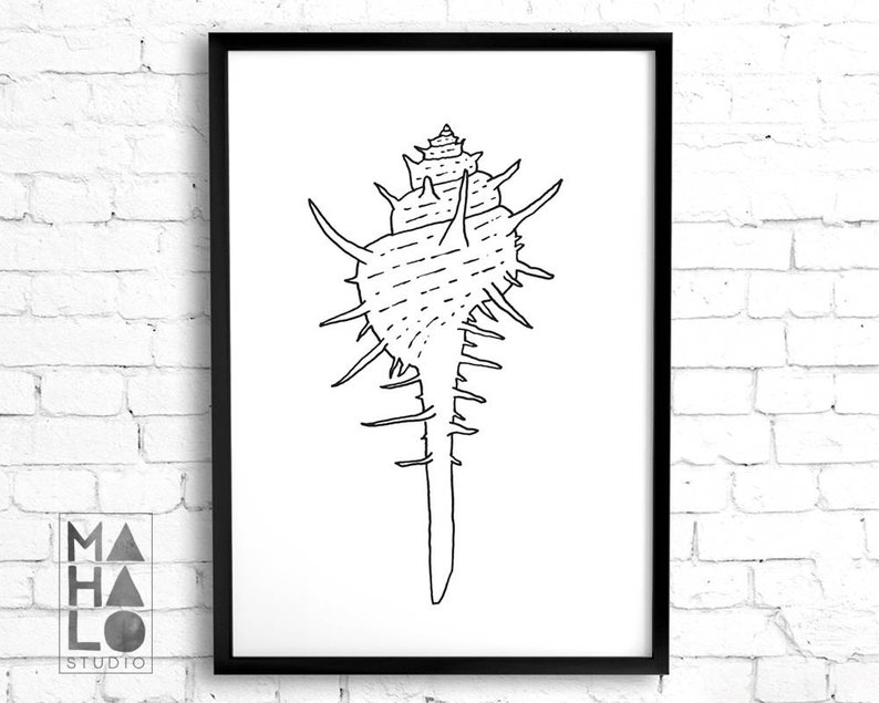 794x635 seashell art line drawing coastal wall art black and white etsy - Seashell Line Drawing