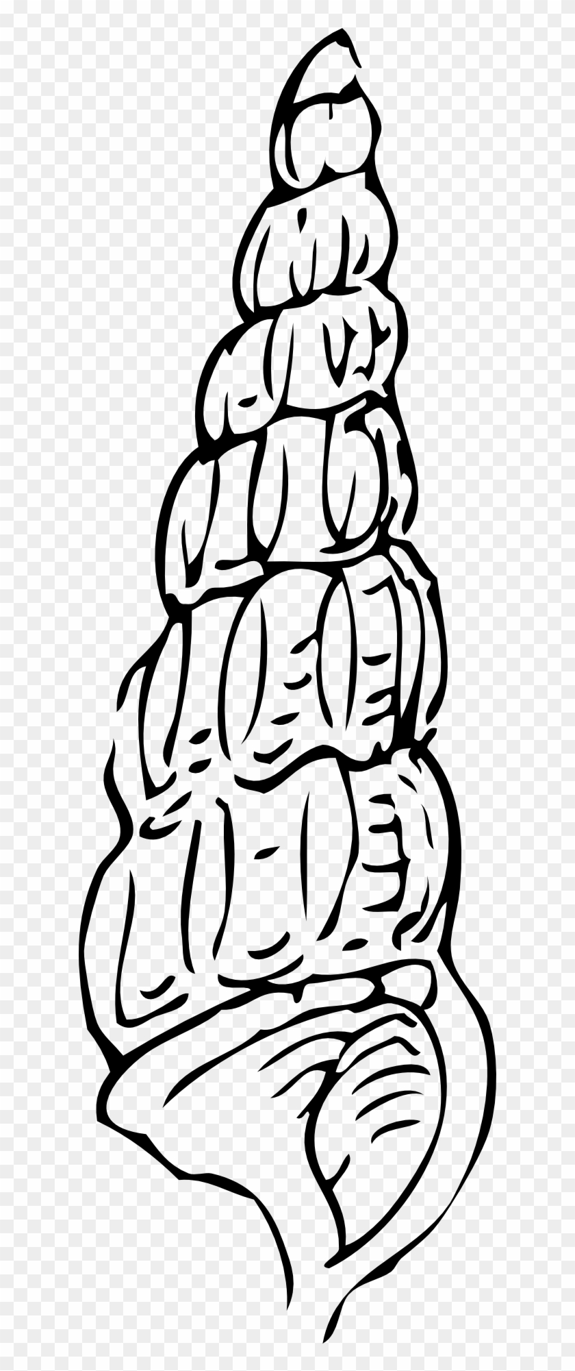 840x2001 seashell drawing clam clip art - Seashell Line Drawing