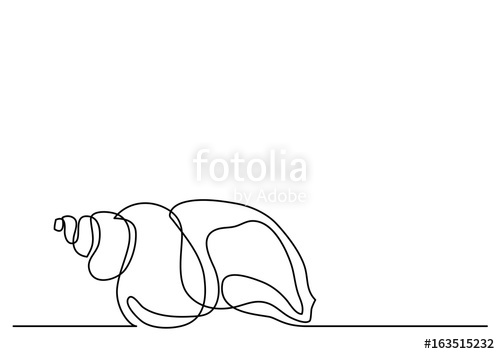 500x354 Single Line Drawing Of Sea Shell Stock Image And Royalty Free - Seashell Line Drawing