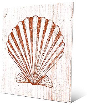 331x400 seashell on orange nautical line drawing of scallop - Seashell Line Drawing