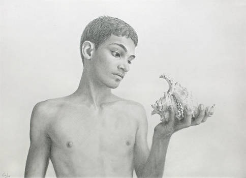 484x350 Young Man Looking - Seashell Pencil Drawing