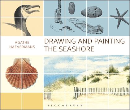 420x353 Drawing And Painting The Seashore Agathe Ravet Haevermans Aampc - Seashore Drawing