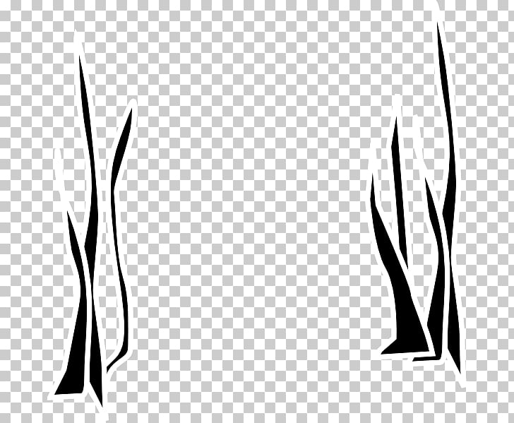 728x599 Seaweed Drawing Seaweed S Png Clipart Free Cliparts Uihere - Seaweed Drawing