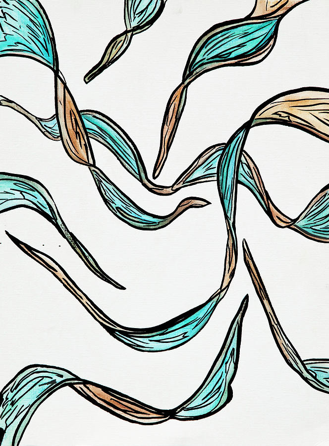 664x900 Seaweed Drawing - Seaweed Drawing