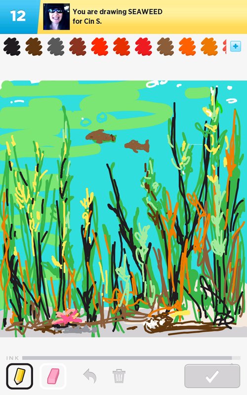 500x800 Seaweed Drawings - Seaweed Drawing