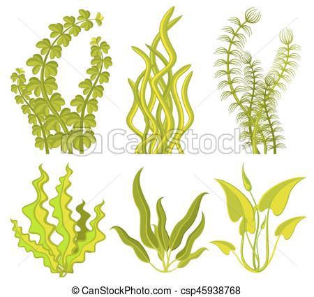 450x425 Underwater Seaweed Vector Elements Sea Plant Nature Isolated - Seaweed Drawing