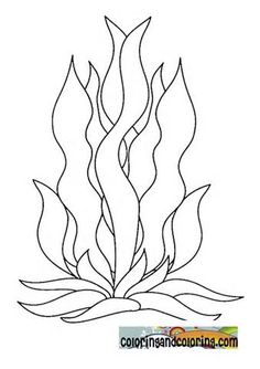 236x334 Huge Collection Of 'seaweed Drawing' Download More Than Images - Seaweed Underwater Drawing