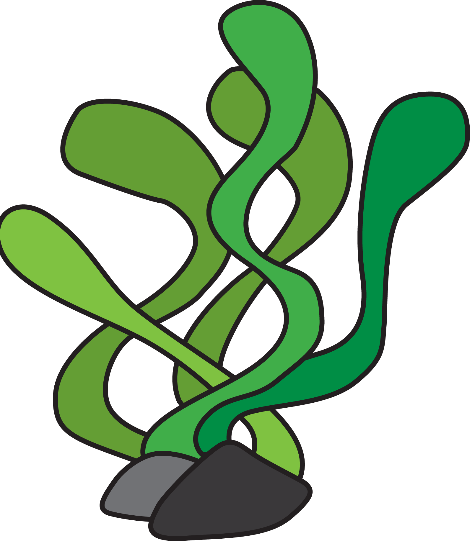 1608x1834 drawing underwater seaweed huge freebie! download - Seaweed Underwater Drawing