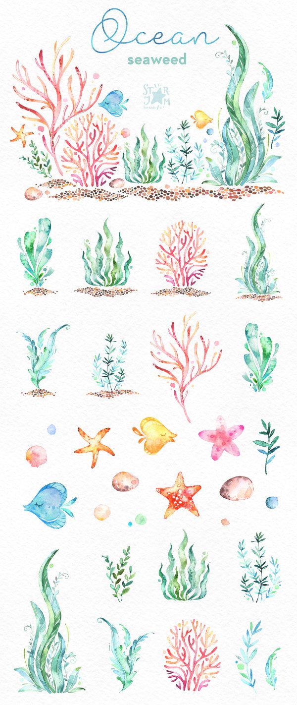 600x1422 ocean seaweed underwater watercolor clip art, water plants - Seaweed Underwater Drawing