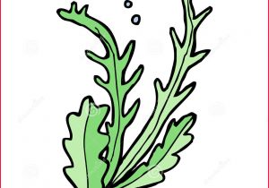 300x210 Seaweed Drawing Hand Drawn Seaweed Coral Set Isolated Sea - Seaweed Underwater Drawing