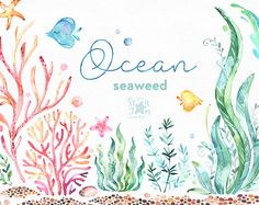 236x187 underwater plants - Seaweed Underwater Drawing