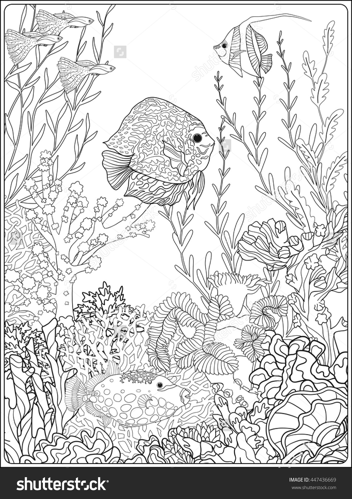 1127x1600 seaweed drawing underwater for free download - Seaweed Underwater Drawing
