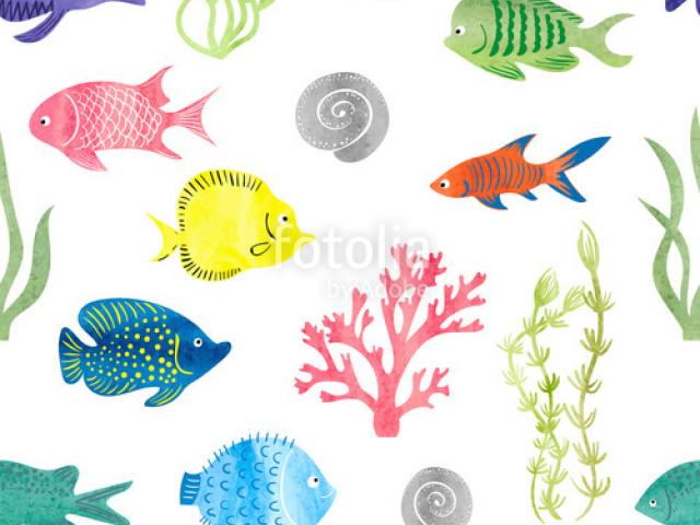 640x480 drawn seaweed underwater - Seaweed Underwater Drawing