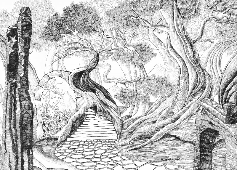 800x574 secret garden - Secret Drawing