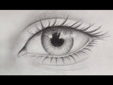 480x360 the secret of drawing - Secret Drawing