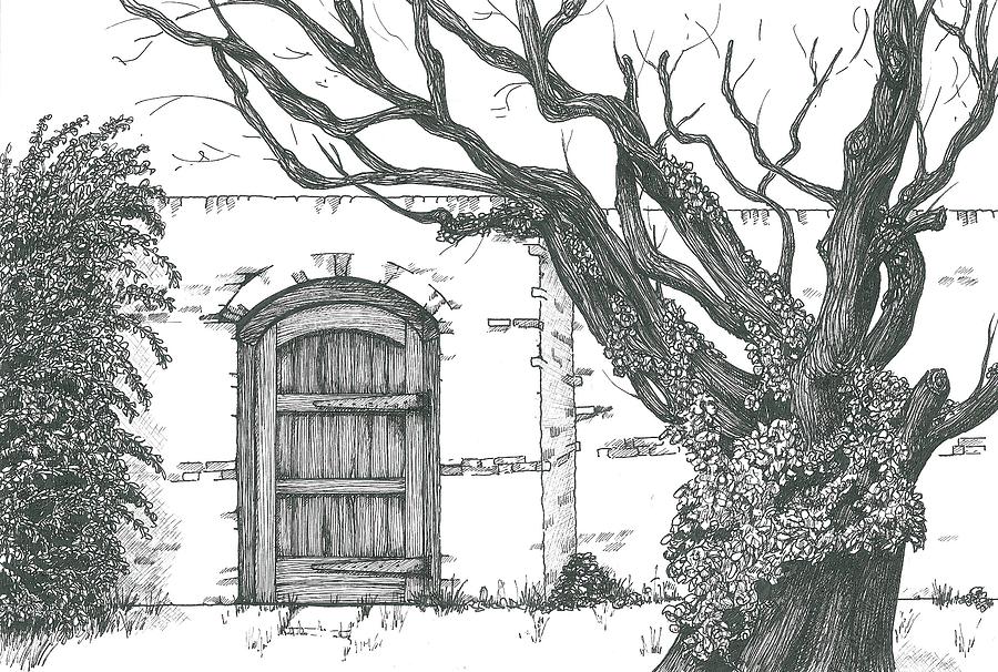 900x606 secret garden drawing - Secret Garden Drawing