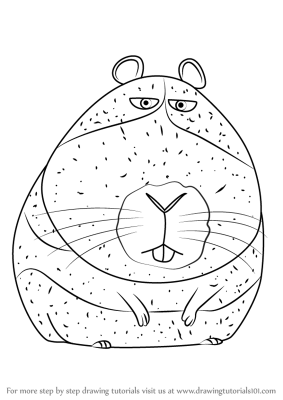 566x800 learn how to draw norman from the secret life of pets - Secret Life Of Pets Drawing