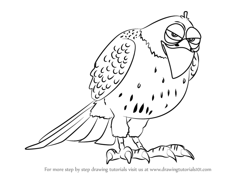 800x567 learn how to draw tiberius from the secret life of pets - Secret Life Of Pets Drawing