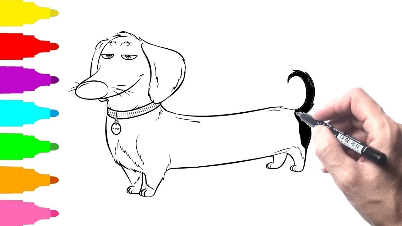 1280x720 the secret life of pets coloring pages - Secret Life Of Pets Drawing