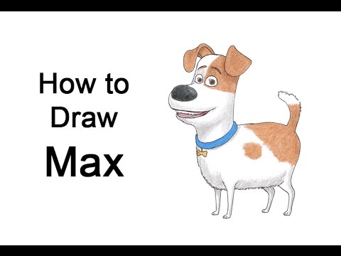 480x360 how to draw max from the secret life of pets - Secret Life Of Pets Drawing