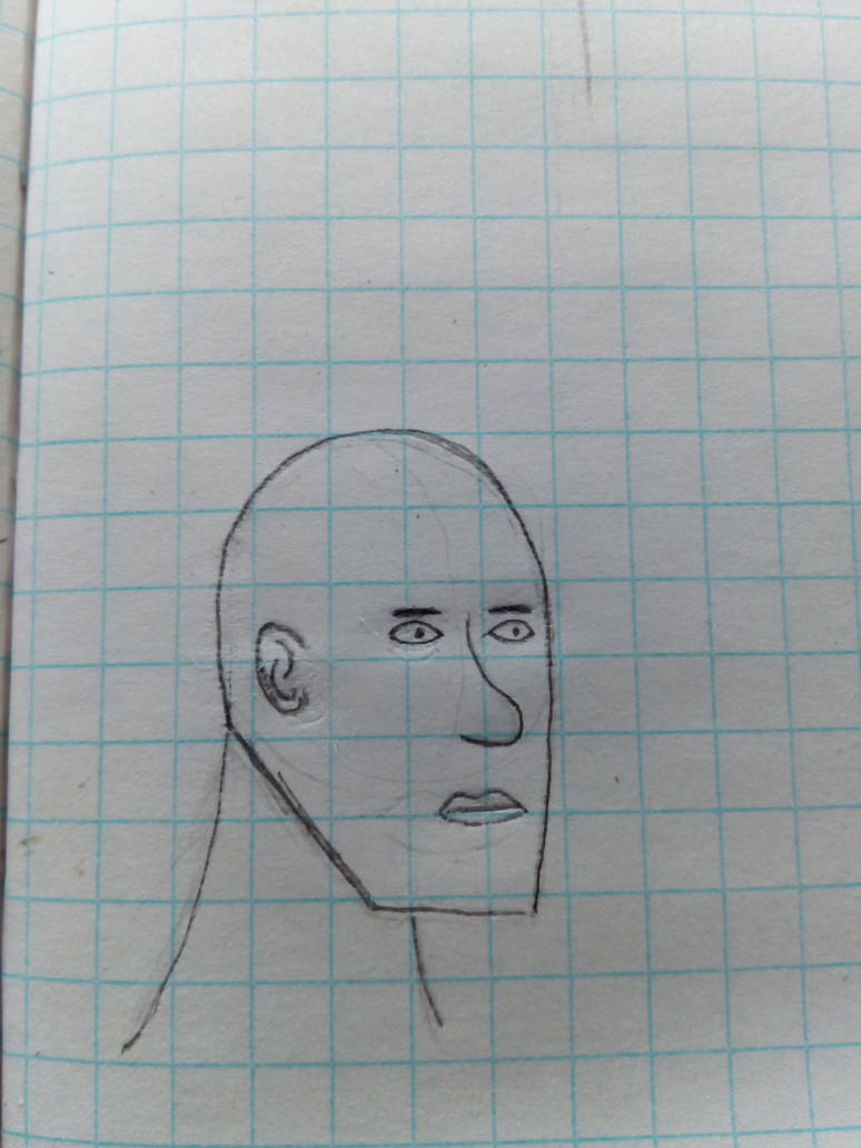 774x1032 Face And Head Drawing Practice - Sector Drawing
