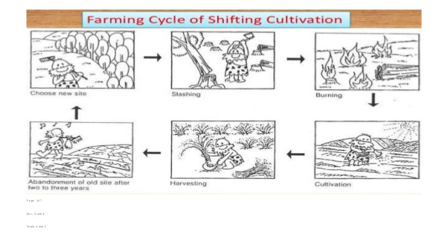 638x359 primary sector farming - Sector Drawing