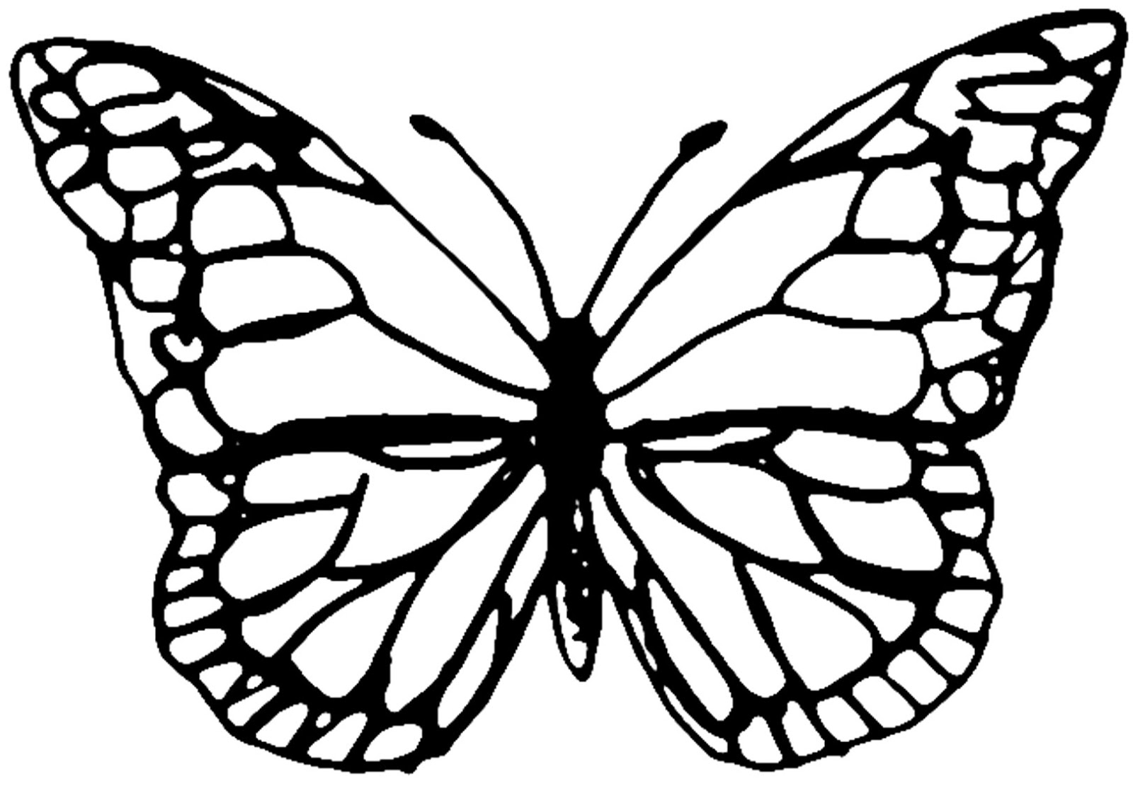 1600x1117 Security Free Butterfly Printables Drawing Tem - Security Drawing