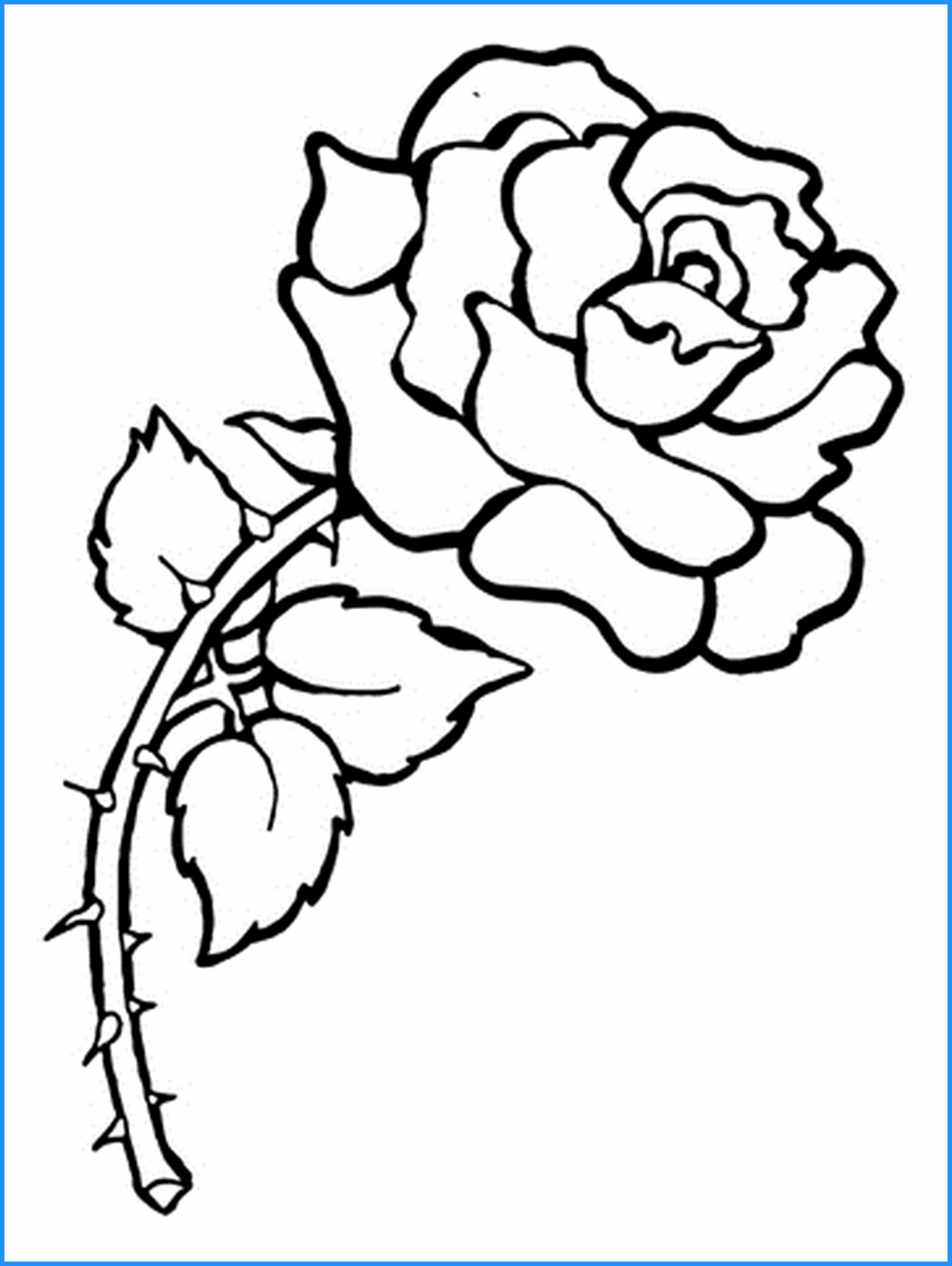 1635x2175 Security Rose Pictures To Color For Beginners Drawing - Security Drawing