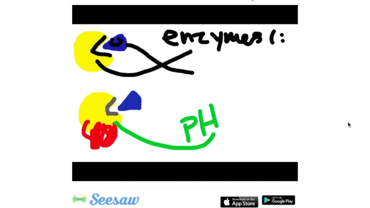 1280x720 seesaw portfolio drawing tool example - Seesaw Drawing