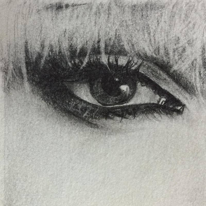 800x800 Graphite Pencil Segment Drawings Artist Sophie Lawson - Segment Drawing