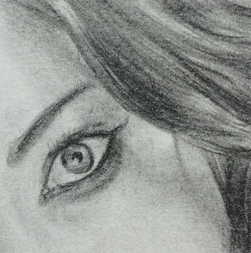 800x808 Segment Drawings Graphite - Segment Drawing