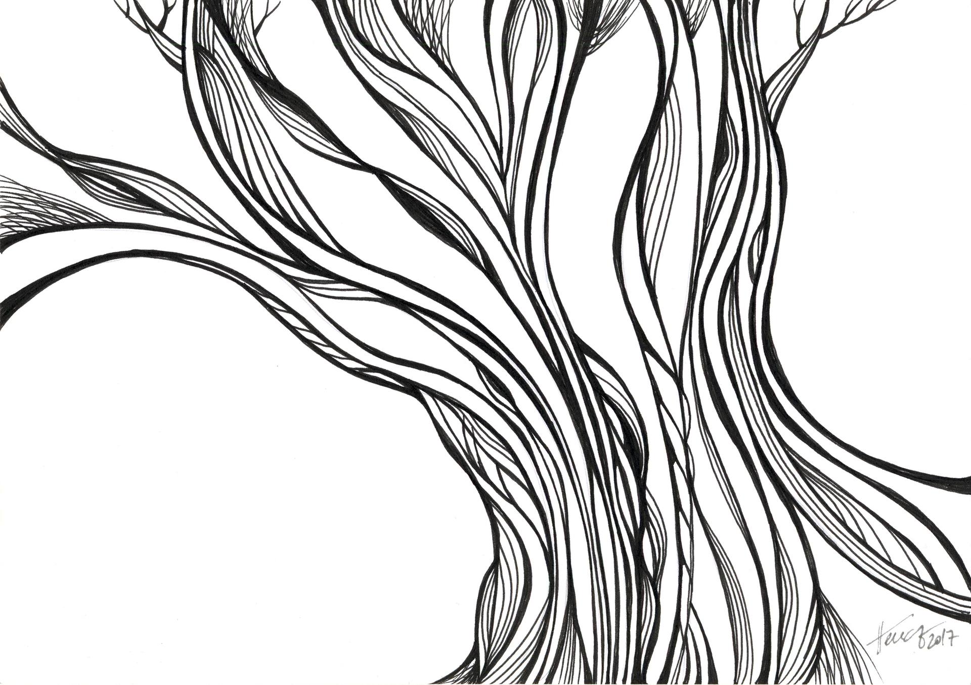 1920x1355 Tree Segment Drawing - Segment Drawing