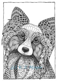 236x330 small breed dog portraits matted print of original drawing - Select Drawing