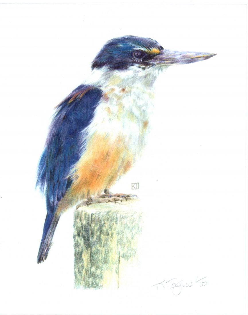 865x1096 mindfulness and drawing - Sensitive Drawing