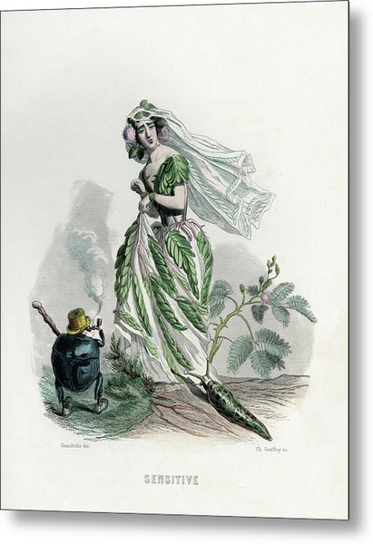 411x600 sensitive - Sensitive Drawing