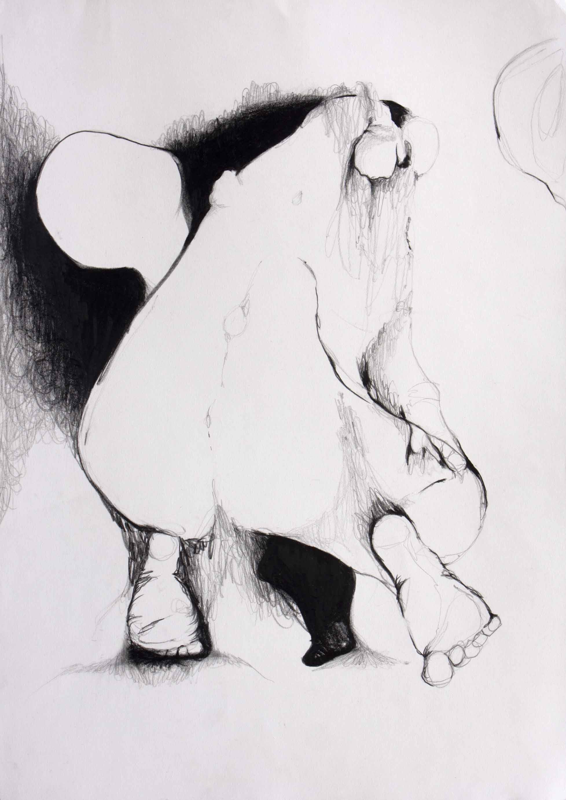 1956x2764 looking for a body drawings sequences diogo decalle - Sequence Drawing