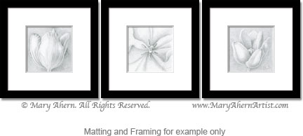 432x194 Drawing Archives - Series Drawing