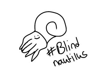 320x240 nautilus drawings on paigeeworld pictures of nautilus - Serious Drawing