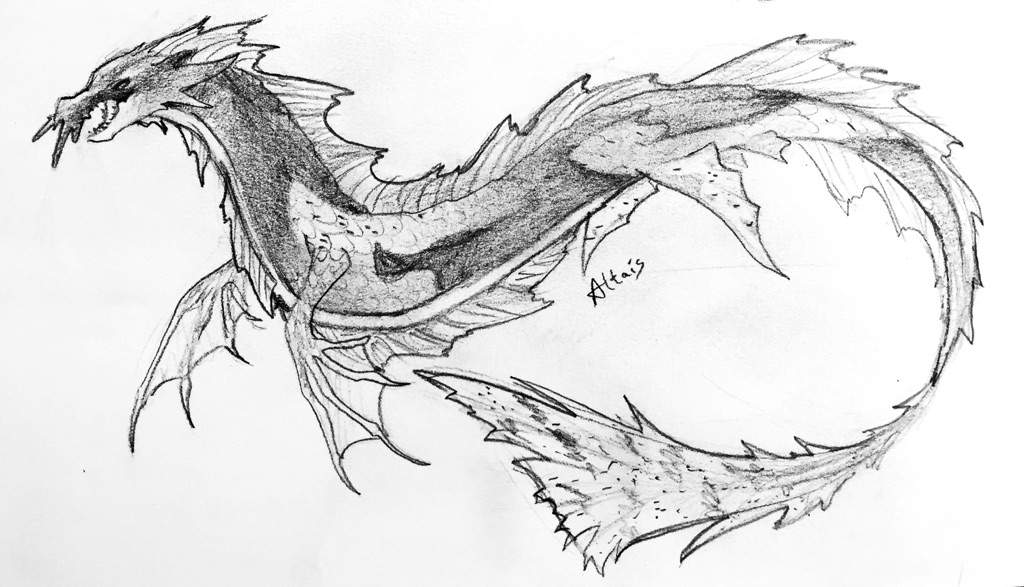 1024x587 drawing a sea serpent dragons amino - Serpent Drawing