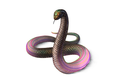 400x277 how to draw animals snakes and their patterns - Serpent Drawing