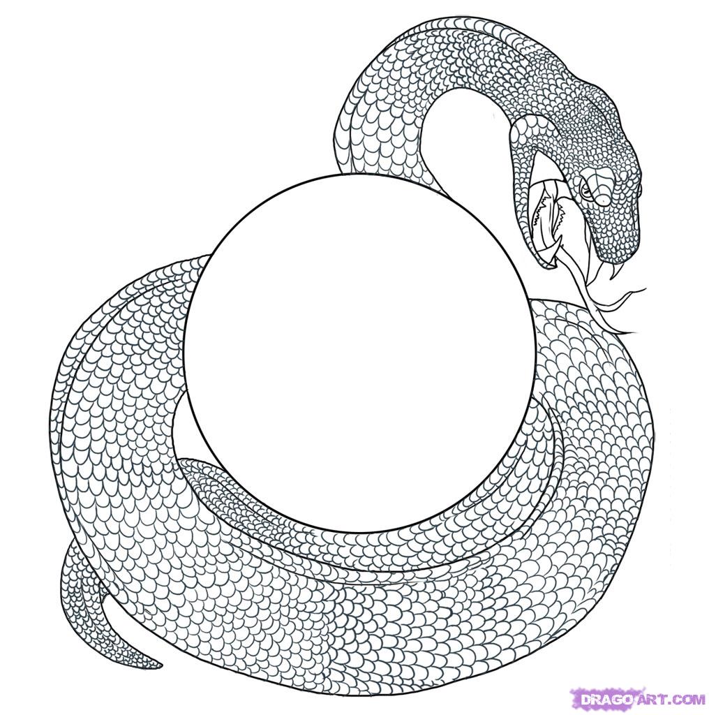 1016x1024 how to draw a serpent, step - Serpent Drawing