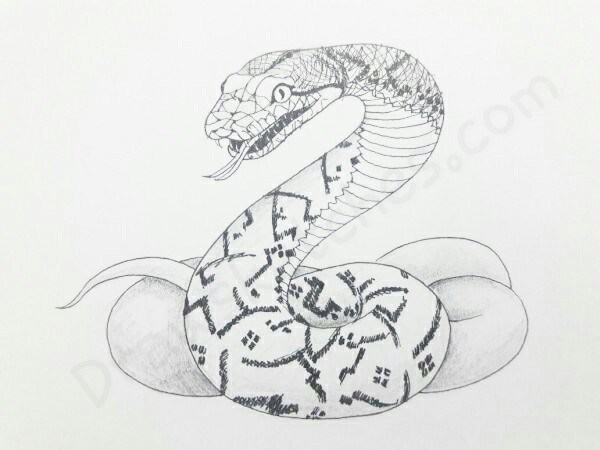 600x450 serpent drawing amazing drawing skill - Serpent Drawing